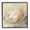 Stupell Industries Abstract Baby Bird Egg Nest Countryside Animals Framed Wall Art